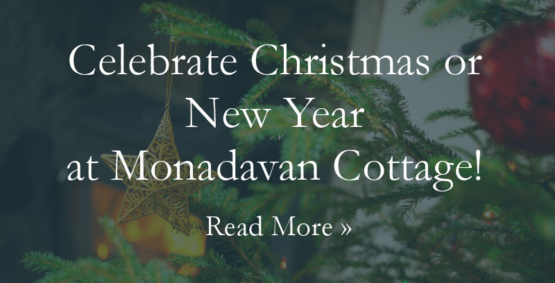 Festive Holidays